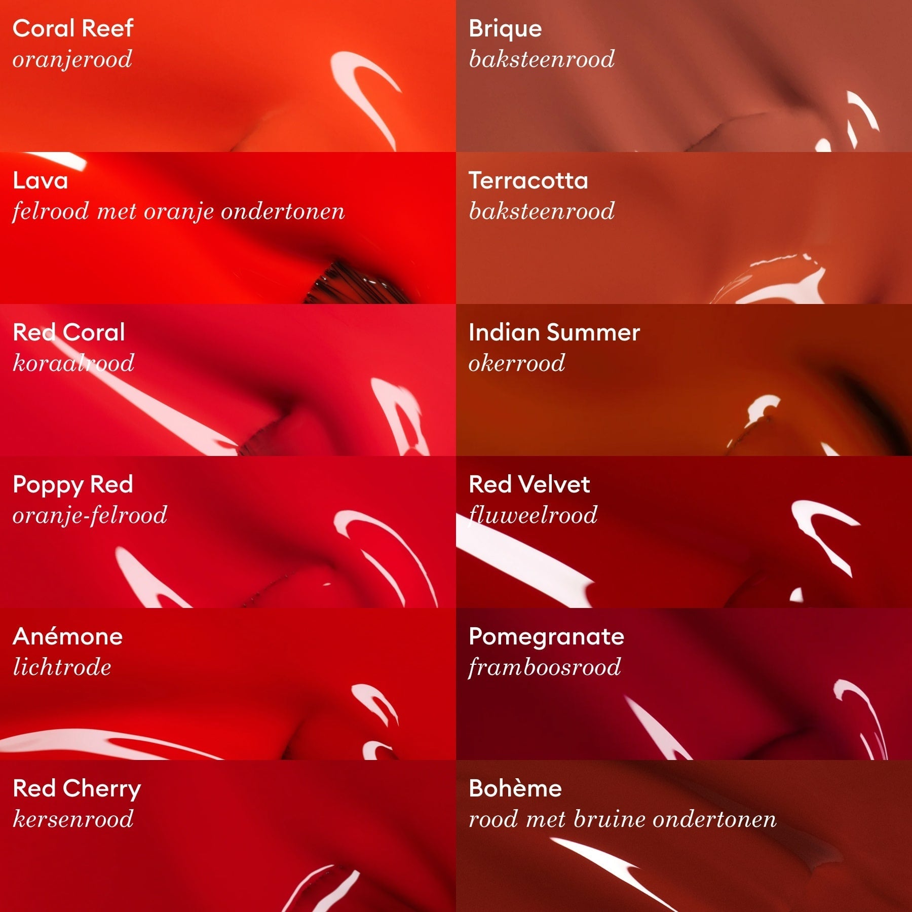 Terracotta